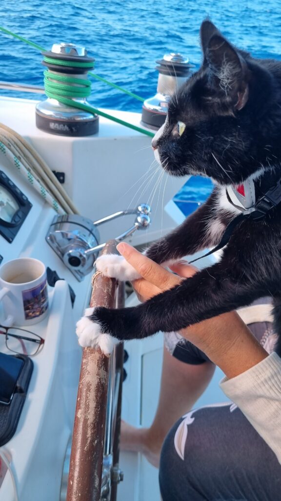 Captain Tobi